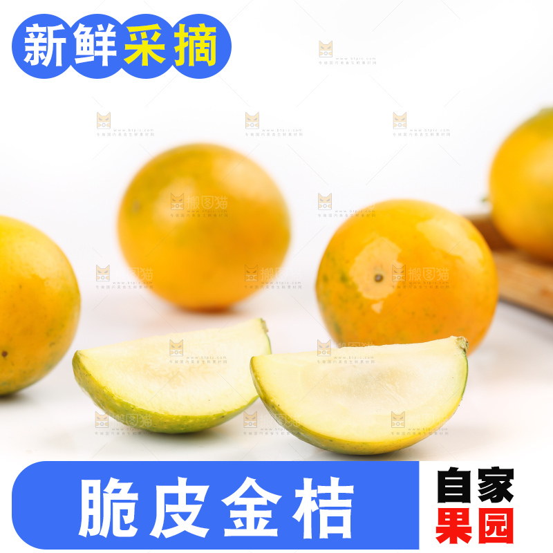 白底上的金桔