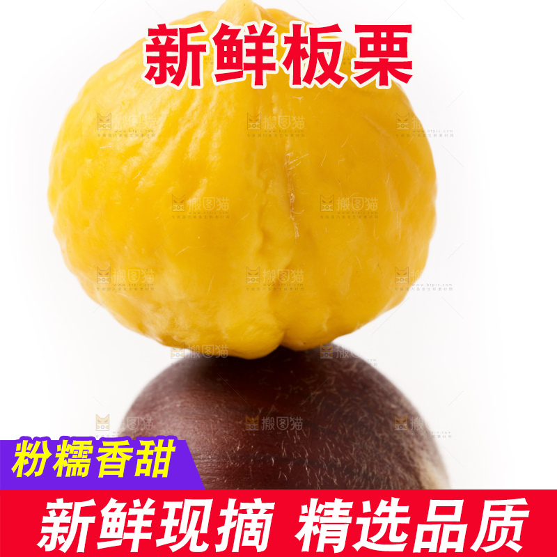 浅底上的迁西板栗
