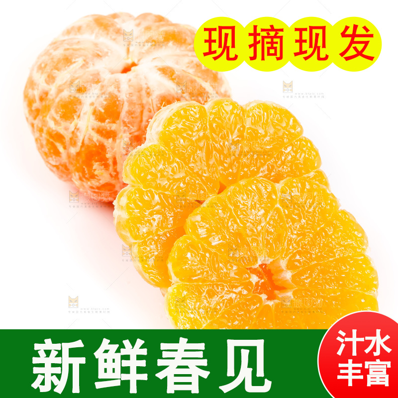 白底上放着耙耙柑