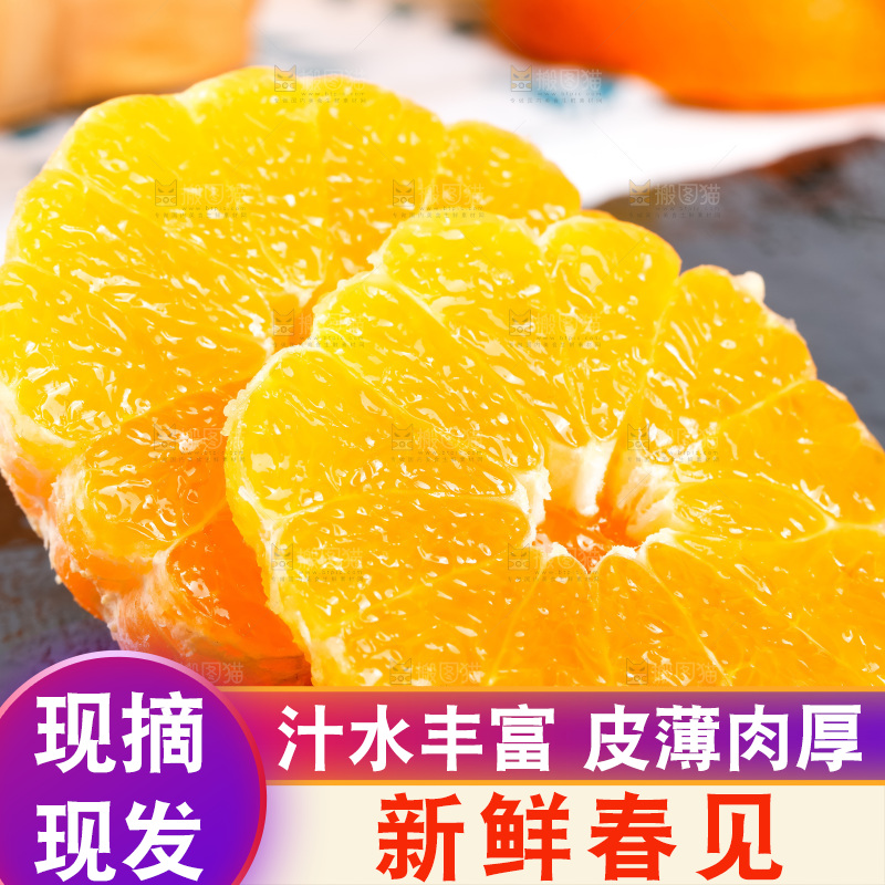 黑石板上的春见耙耙柑