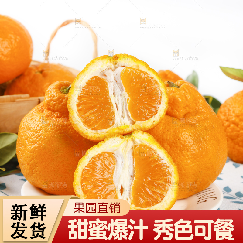 浅底上的春见耙耙柑
