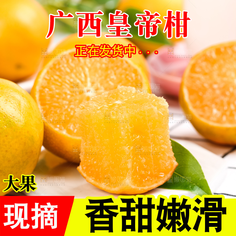 格子底上的皇帝柑