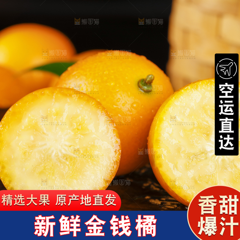 黑底上的小金桔