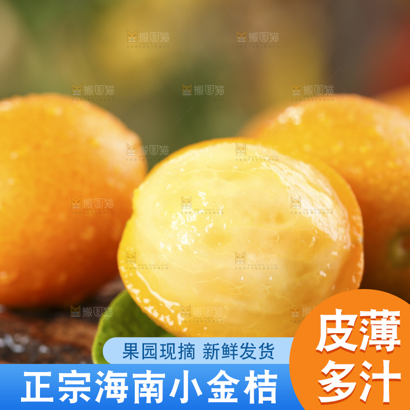 木底上放着新鲜金钱桔