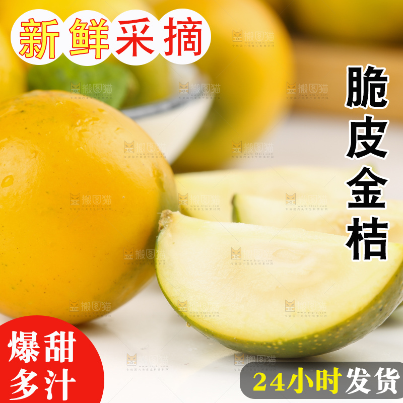 白底上的金桔