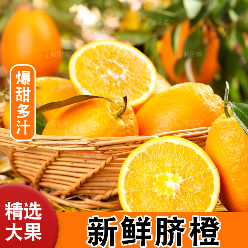 篮子里装着长虹脐橙