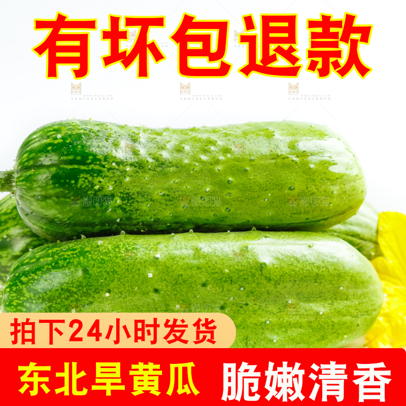 白底上的小黄瓜