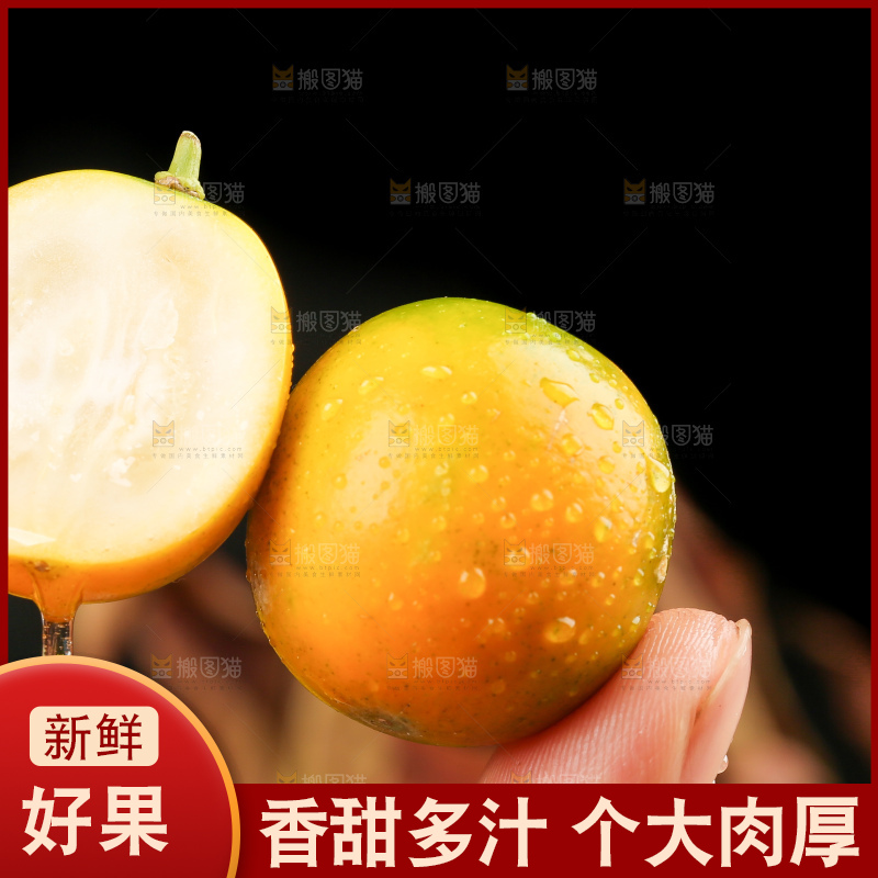 手里拿着新鲜金桔