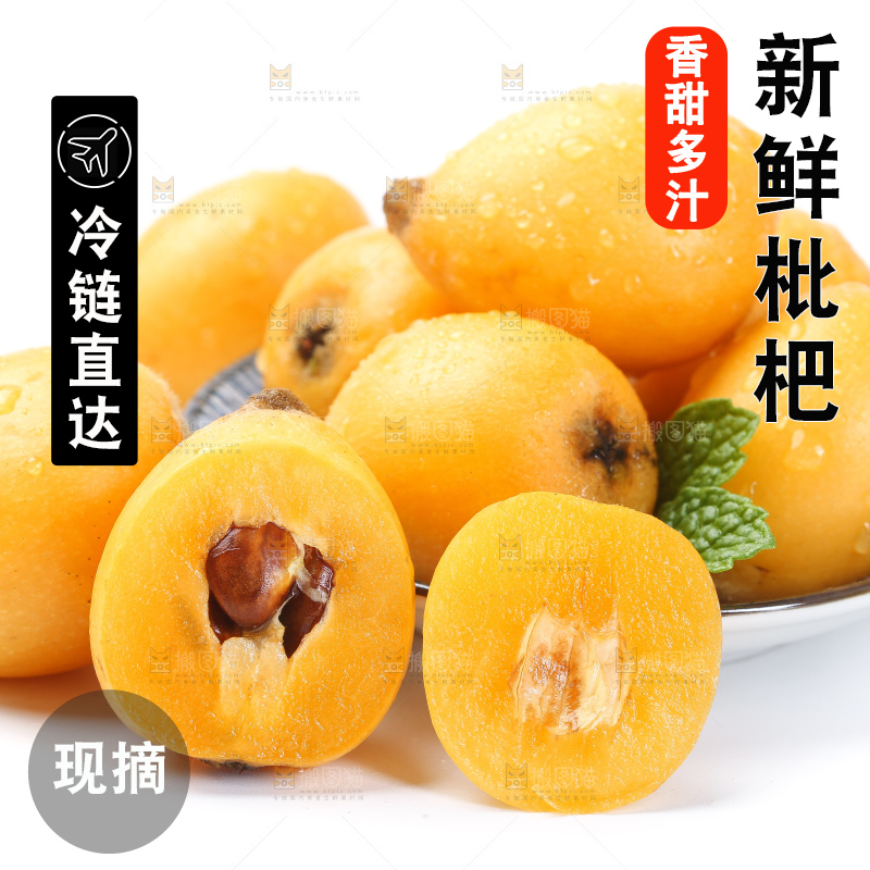 白底上的枇杷