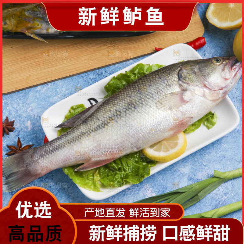 盘子里装着鲈鱼