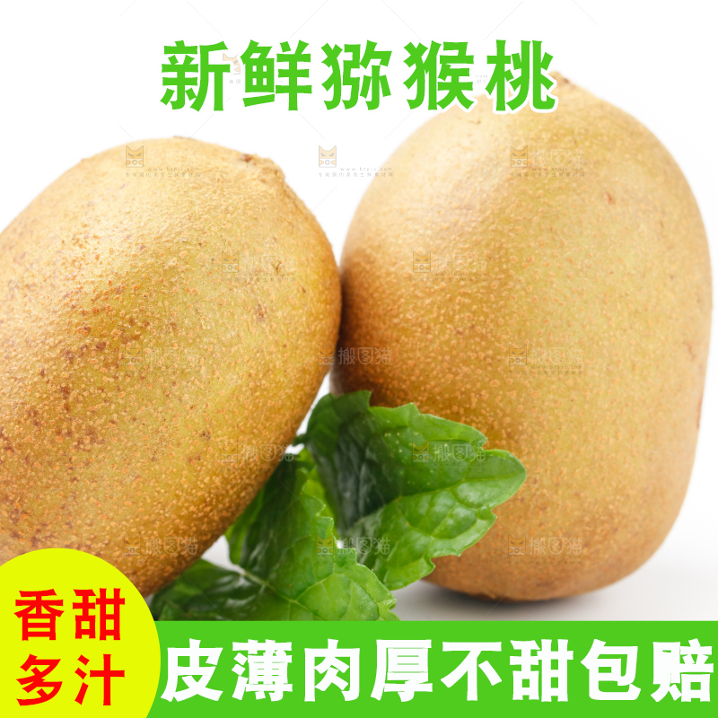 白底上的绿心猕猴桃