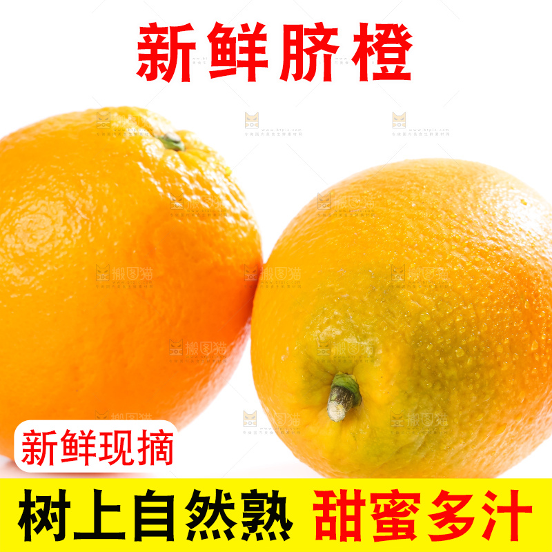 白底上的高山甜橙