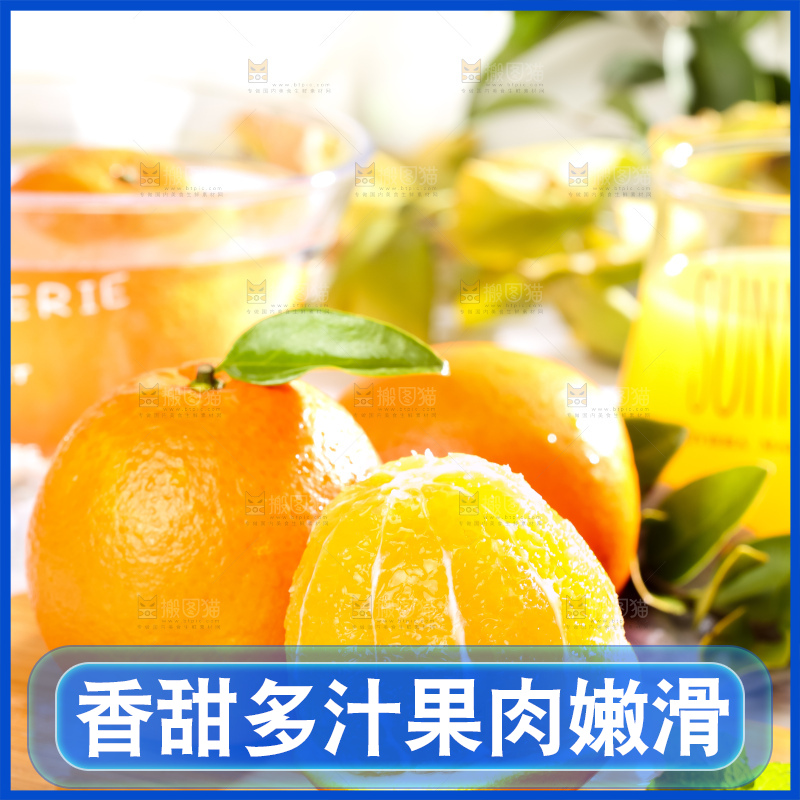 黄板子上的脐橙