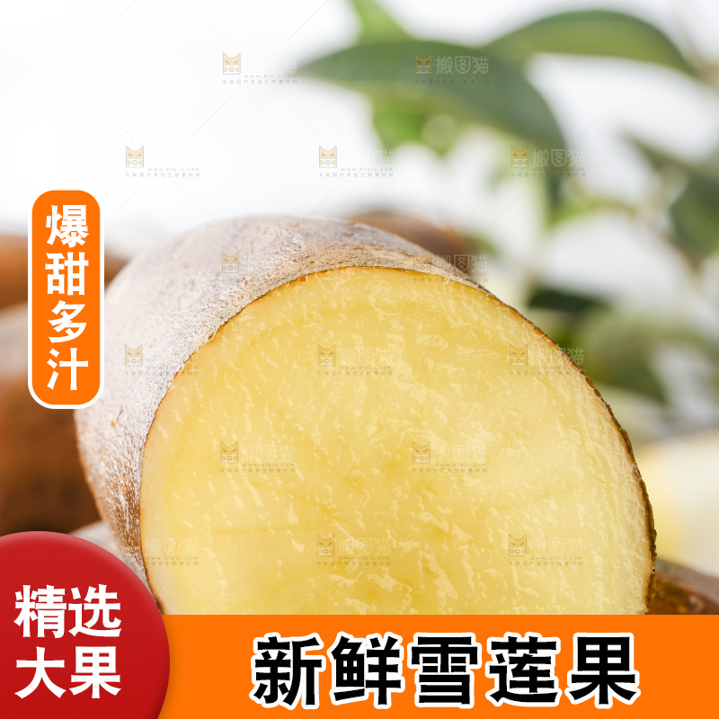 石板上放着地参果