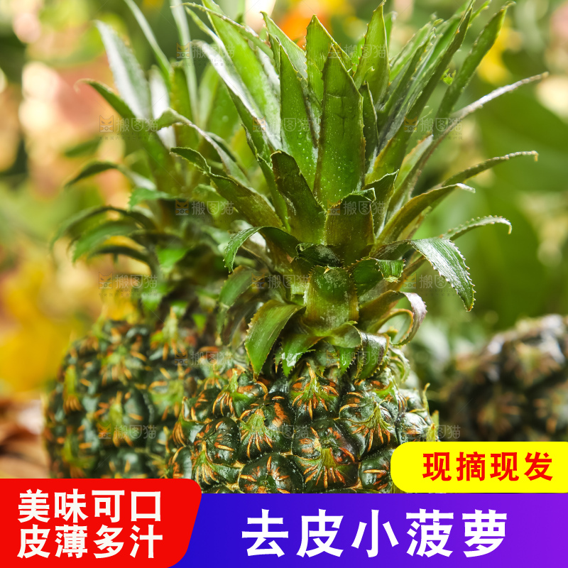 黑石板上的新鲜小菠萝
