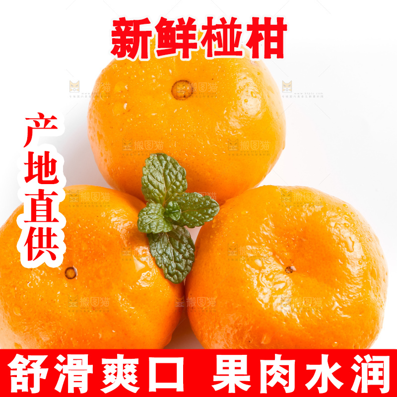 白底上摆放着椪柑橘