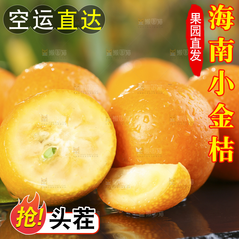 黑石板上的广西金钱橘