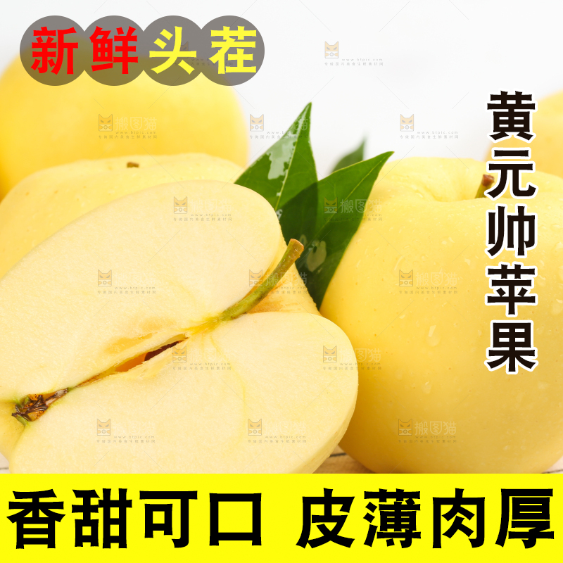 白格子底上的烟台黄金帅