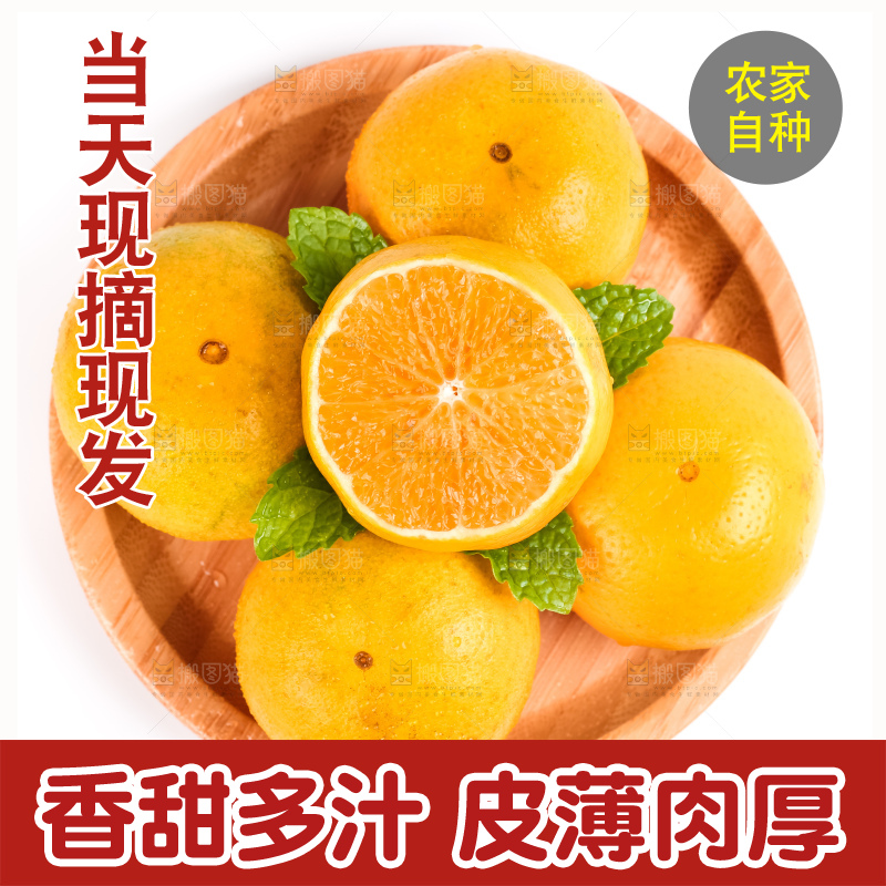 白底上放着一盘广西皇帝柑