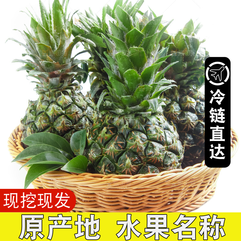 篮子里的泰国迷你小菠萝