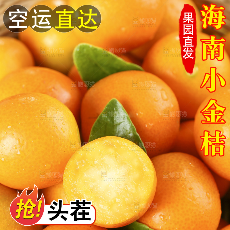 篮子里装着金钱桔
