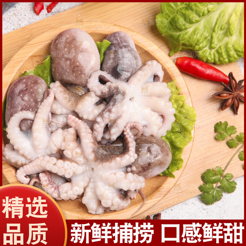 盘子里的八爪鱼