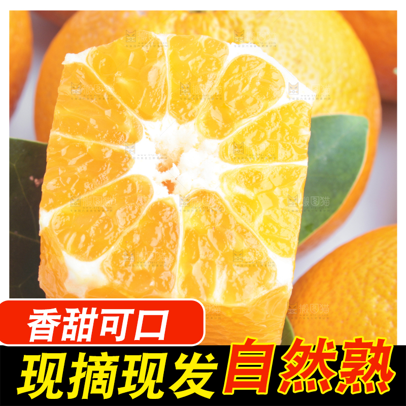 白底上放着四川椪柑