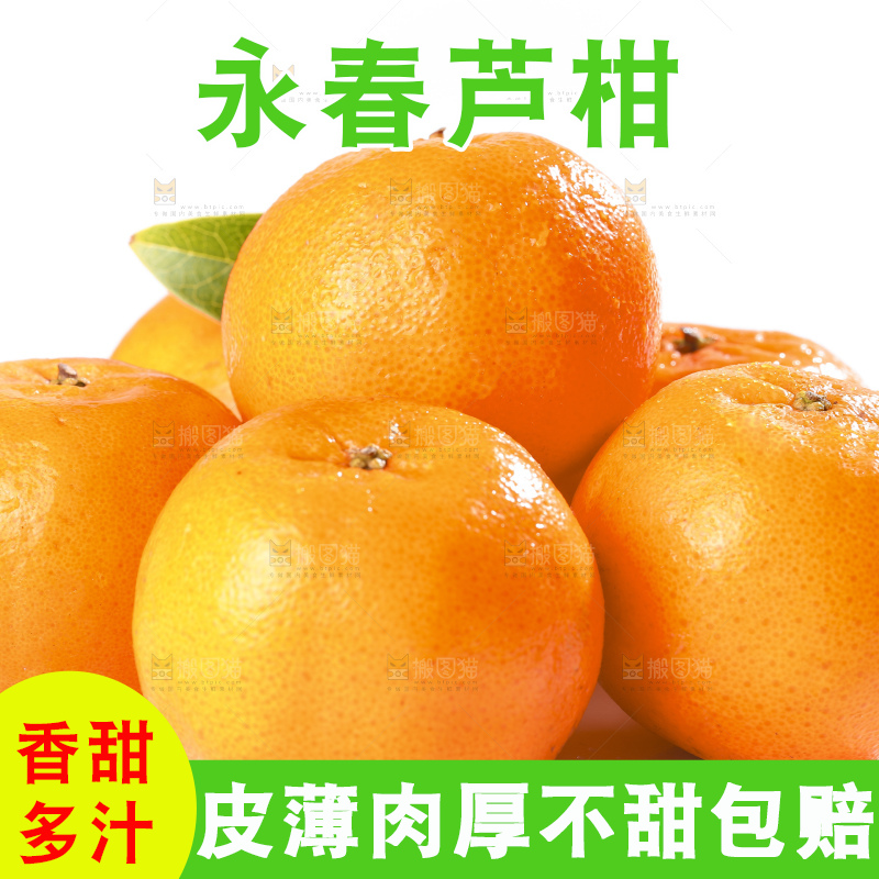 白底上的芦柑