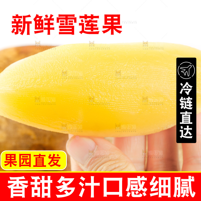 手里拿着新鲜雪莲