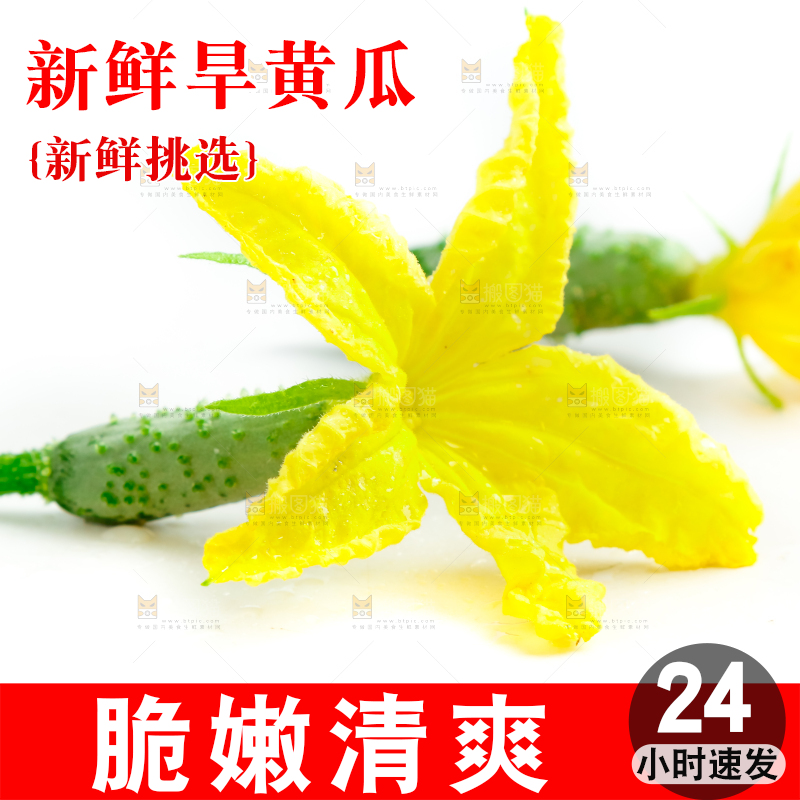 白底上的小黄瓜