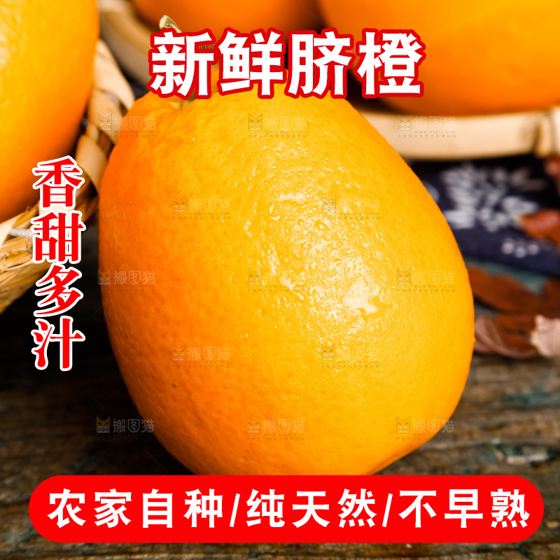 篮子里装着长虹脐橙
