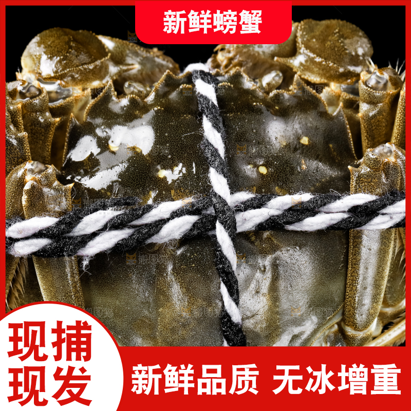 黑底上的鲜活螃蟹