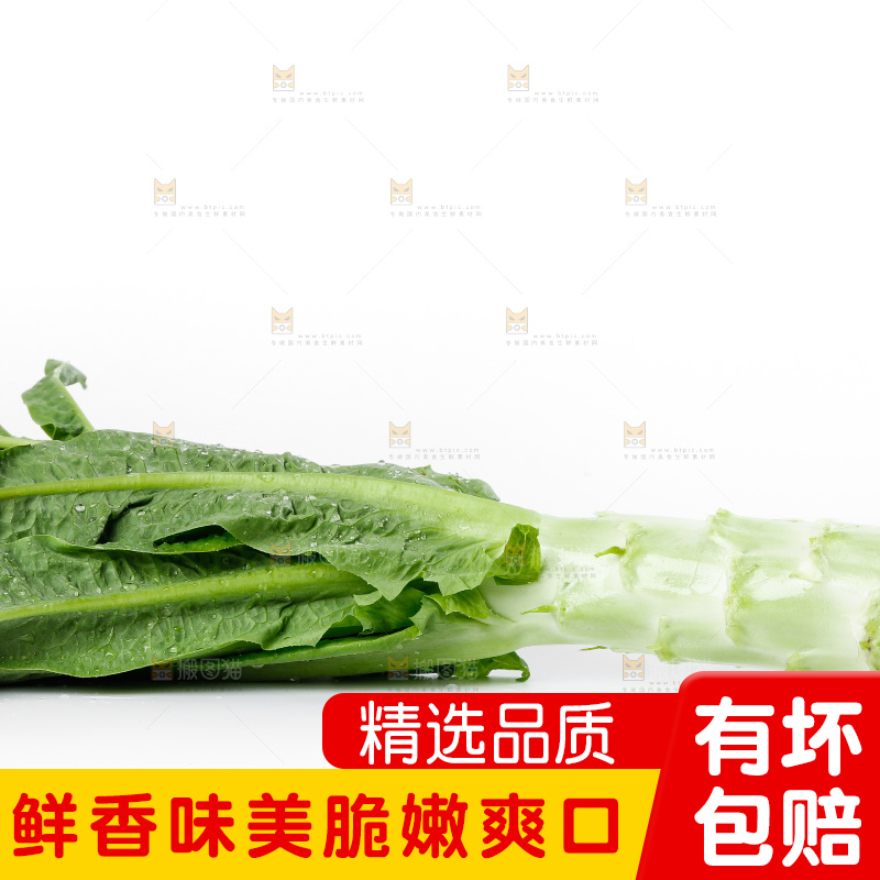 白底上放着莴笋