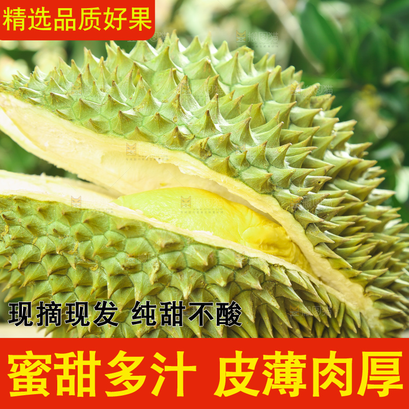 木板上的金枕头榴莲