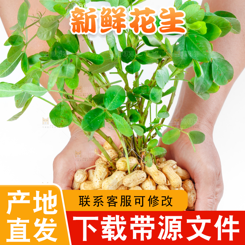 手上捧着湿花生