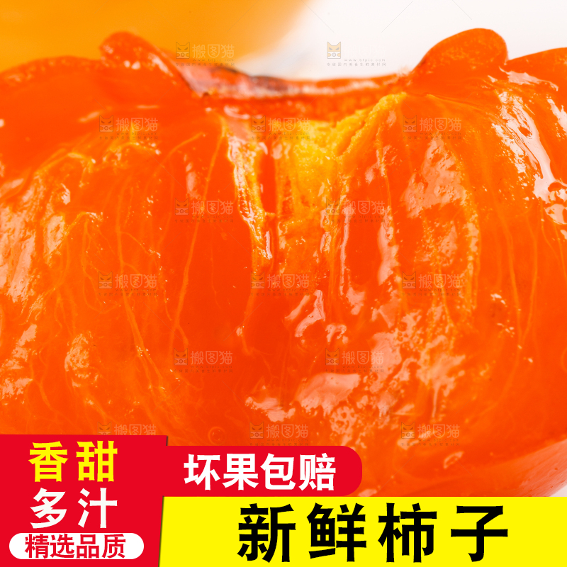 白底上的新鲜柿子