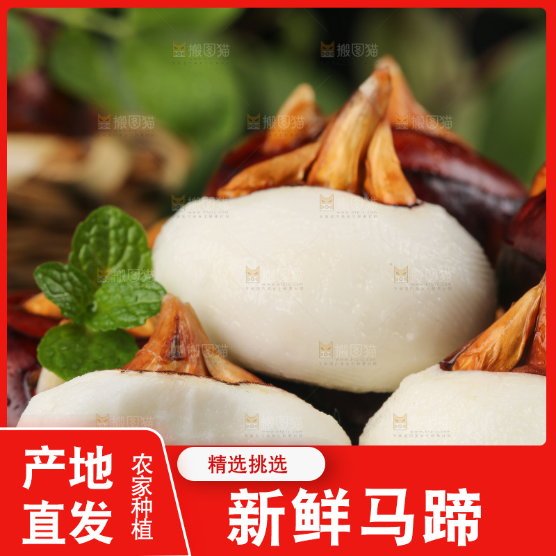 黑石板上的荔浦马蹄