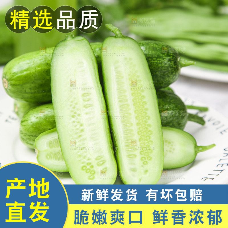 盘子里的旱黄瓜