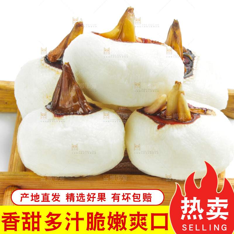木盘上的乐昌北乡马蹄