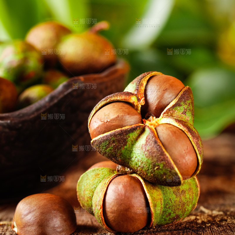 深底上的茶树果