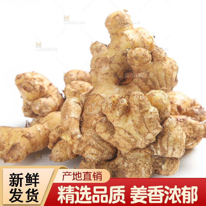 白底上放着云南小黄姜