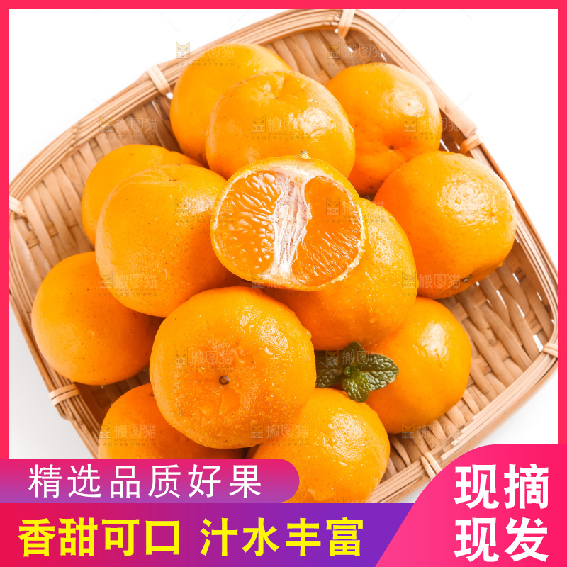 白底上摆放着椪柑橘
