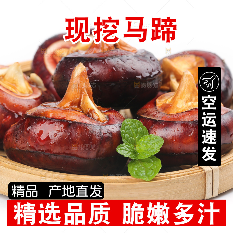 篮子里装着北乡马蹄