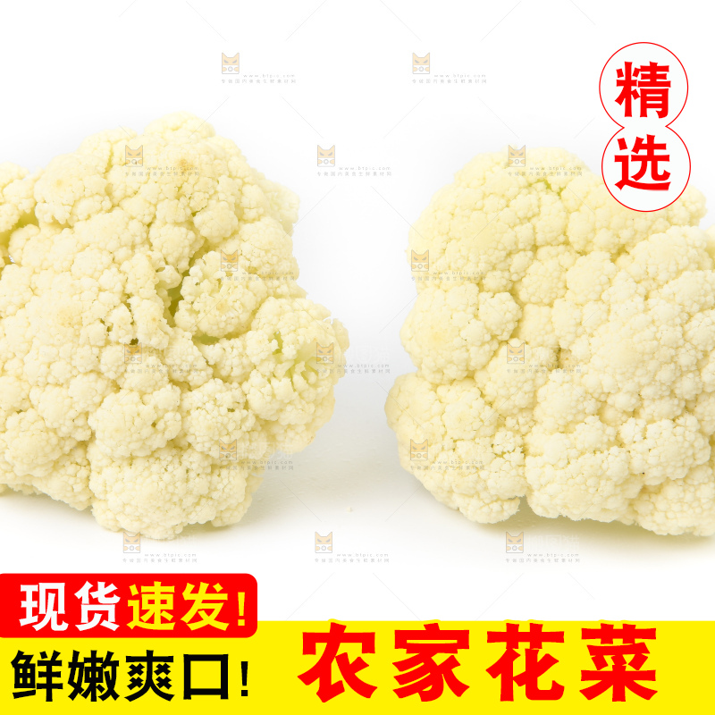 白底上的花菜