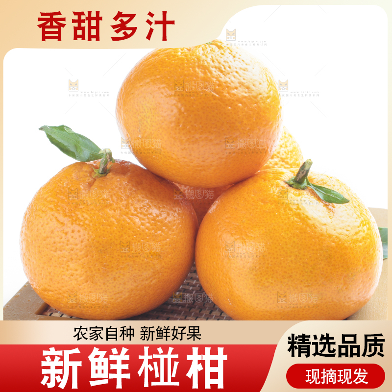 白底上摆放着椪柑橘