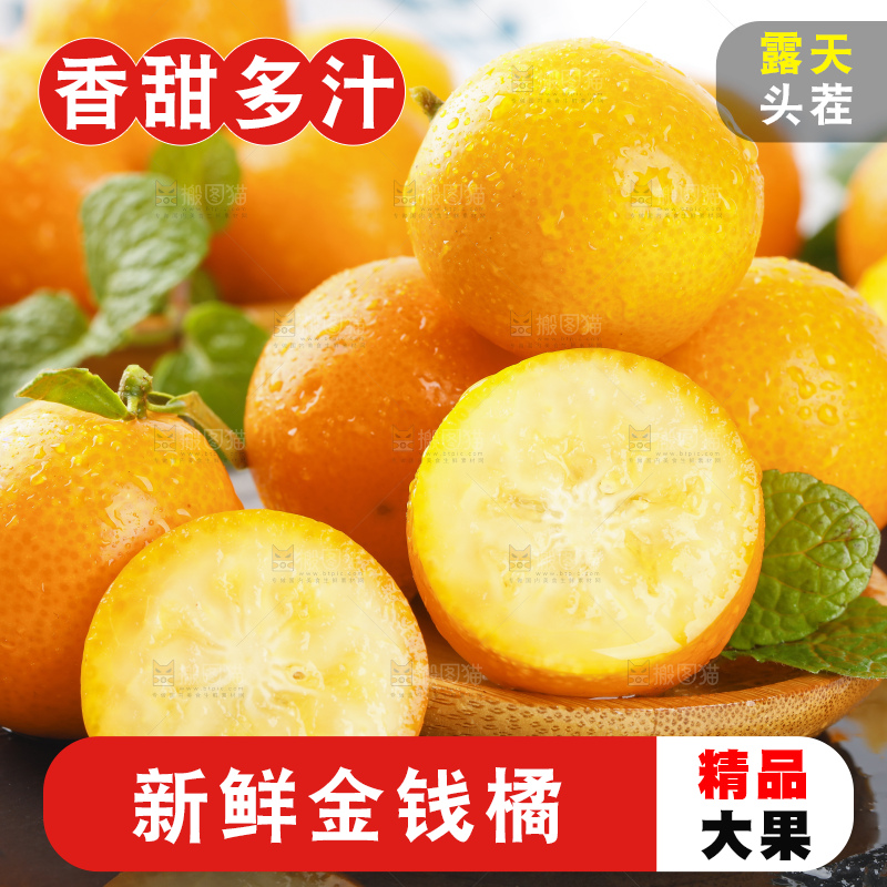 黑石板上的广西金钱橘
