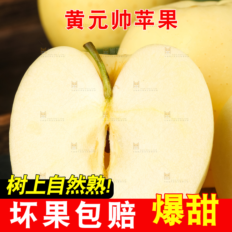 石板上的烟台黄金帅