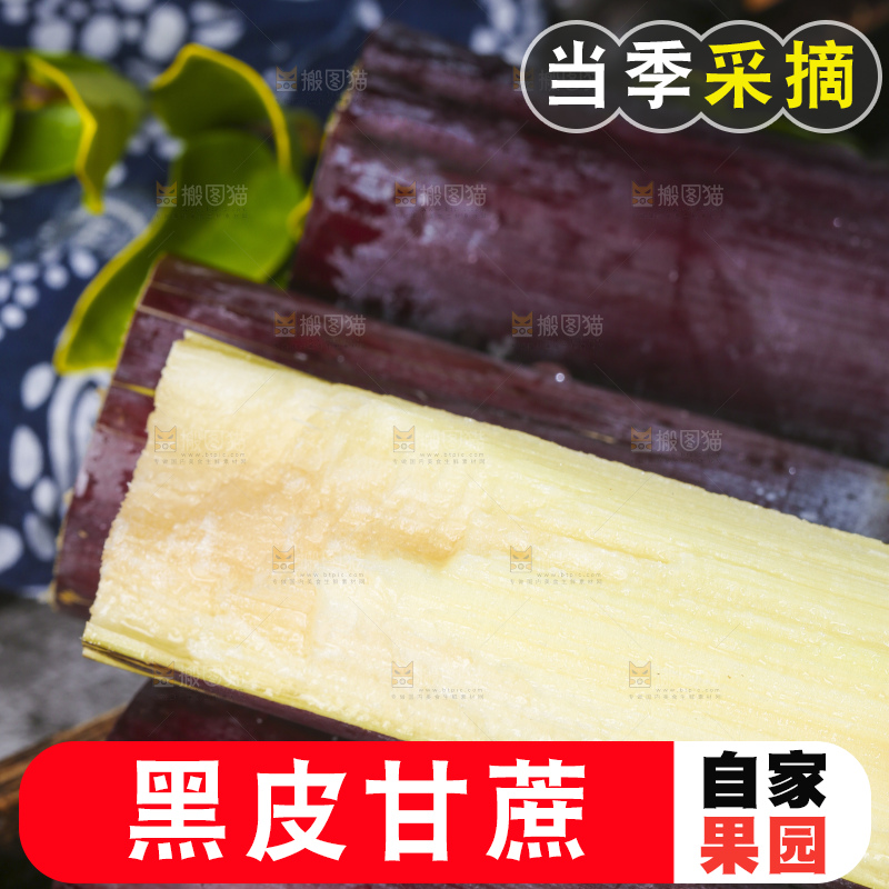 深底上的广西黑皮甘蔗