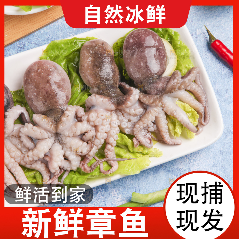 盘子里装着八爪鱼
