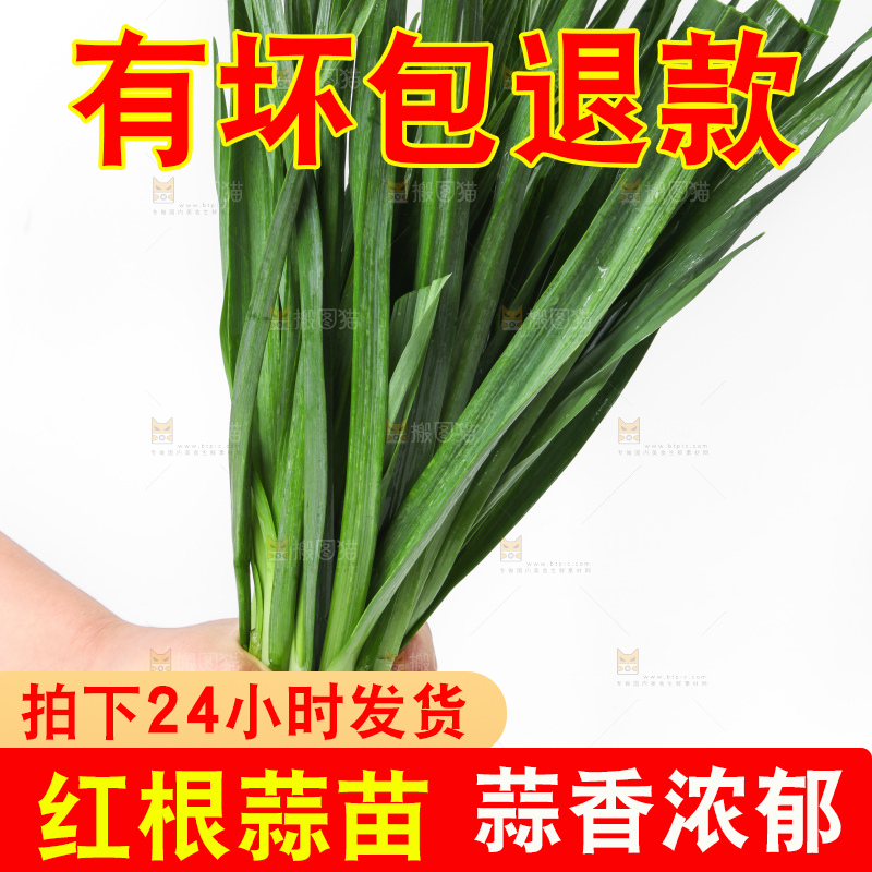 白底上放着蒜苗